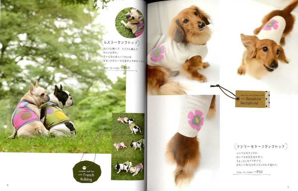 Nice and Cute Dog Clothes